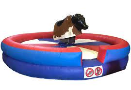 Bull ride on rent for birthday wedding events