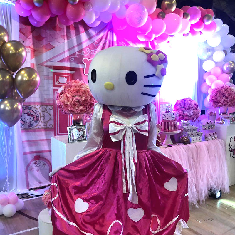 Hello kitty clown on rent for birthday wedding events