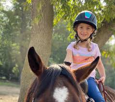 Horse ride on rent for birthday wedding events